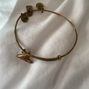 Alex and Ani Shark Fin Bracelet